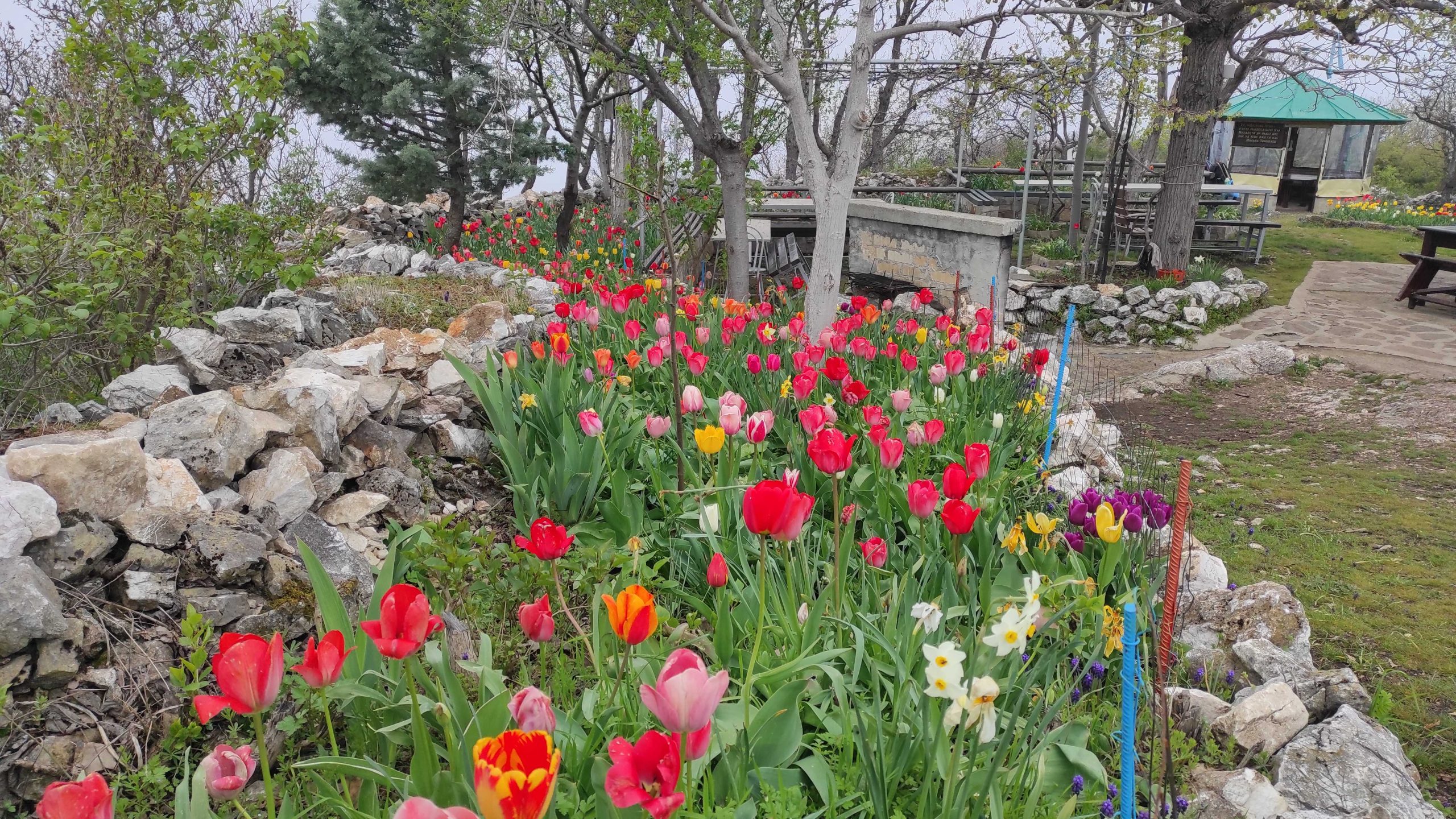 Над Асеновград: Лале баир, Анатема, Гонда вода