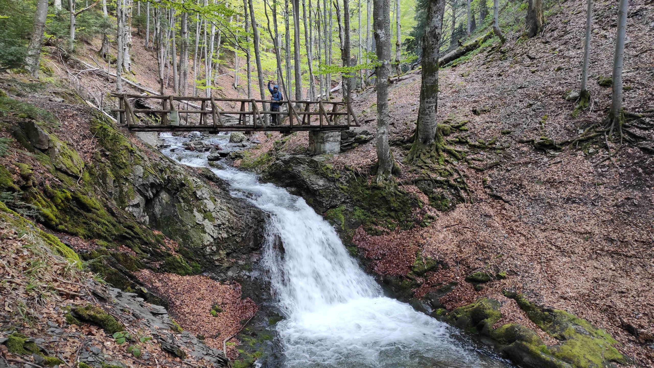 Карловско и Черното пръскало, хижа Васил Левски